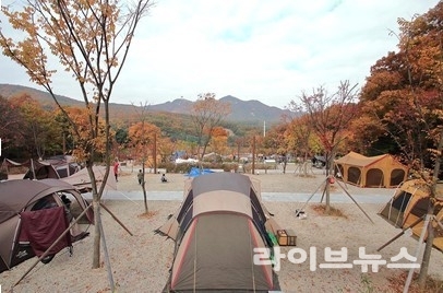경기 군포 초막골 야영장