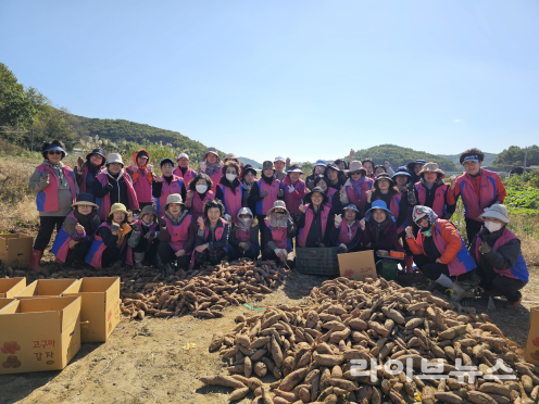 인천시 농업기술센터가 (사)한국생활개선인천시연합회와 인천 서구 검단에서 사랑의 고구마 수확 및 나눔 행사를 진행하고 기념촬영을 하고 있다.(사진=인천시농업기술센터)