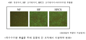 옥수수수염, 콜레스테롤 개선에도 효과
