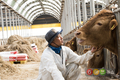 구제역 아픔 딛고 한우와 함께 꿈 키우며 재기 성공