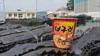 농심 ‘너구리’ 속 완도산 다시마 400톤 구매나서