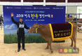 충북 음성 홍창영씨 한우, 대한민국 최고 한우 등극