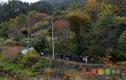 단풍 즐기며 ‘지리산둘레길 걷기’