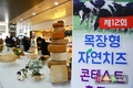 “내 취향에 맞는 자연치즈 맛보세요”