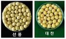 “수량 많고 논 재배 알맞은 콩 새 품종 신청하세요”