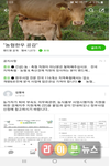 농협 한우국 한우공감 밴드 회원 1,230명 돌파