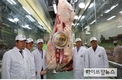 [현장]대통령상 수상한 최고의 한우, 도체중 499kg, 등심단면적 134㎠, 육질 1++A