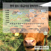 최근 3년간 한우암소 사육월령 2.5개월 증가