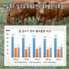 1+등급이상 출현율 늘면서 한우값도 9.2% 올라