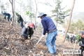 남산 77배 면적에 5천만그루 나무 식재…숲속의 대한민국 만든다
