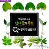 “헷갈리는 산나물과 독초 어떻게 구분할까?”