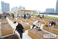 ‘도심 속 농업 체험’…가락몰 옥상 텃밭 개장