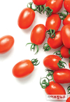 농우바이오, 수입 대체 고기능성 대추토마토 추천