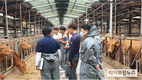 축평원 부산울산경남, 소 사육농가 현장점검
