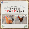 “12월까지 ‘우리맛닭’ 씨닭 분양 신청하세요”
