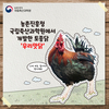 “12월까지 ‘우리맛닭’ 씨닭 분양 신청하세요”
