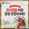 “12월까지 ‘우리맛닭’ 씨닭 분양 신청하세요”