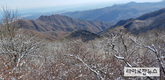 산림청, 백두대간 최북단 ‘향로봉’ 12월 명품숲 선정