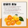 집콕 필수템 ‘감귤’로 건강한 겨울나세요