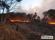 경북 영덕군 창수면 오촌리 산불 발생…총력 진화중