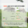 국내 사육 소 질병, 성장단계·품종별로 다르다