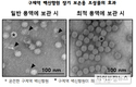 구제역 백신 항원 장기 보존용 조성물 특허 출원