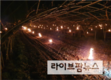 14~15일 기온 ‘뚝’…농작물 저온피해 예방 총력