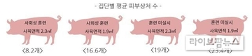 임신돼지 함께 기를때 먹이·서열다툼 줄이려면