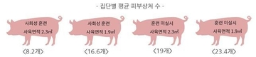 임신돼지 함께 기를때 먹이·서열다툼 줄이려면