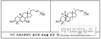 여주, 당뇨에만 좋은줄 알았는데…염증억제 효과 확인