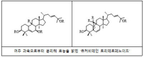 여주, 당뇨에만 좋은줄 알았는데…염증억제 효과 확인