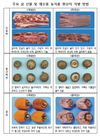 설 선물·제수용 농식품 원산지 표시 일제 단속 