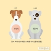 노령견 비만 걱정된다면… ‘습식 먹이’가 좋아요