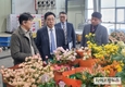 aT, 화훼류 수출확대 방안 모색
