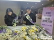 인천공항지역본부, 수입 화훼류 특별검역 실시