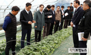 농식품부, 여름철 수박 생산 지금부터 챙긴다