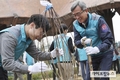 한국마사회, 청백리 정신을 담은 매화나무로 식목행사