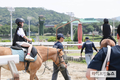 말과 함께하는 색다른 경험, 도심 속 승마체험 성황