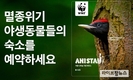 WWF, 멸종위기 동물 보호 위한 가상 숙박 예약 캠페인 ‘애니스테이’ 런칭