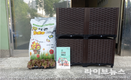 인천시, 상자텃밭 2200세트 선착순 분양