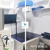 도그마루, ‘전국 보호소 방역 강화’ 발맞춘 체계적 검진 시스템 제공