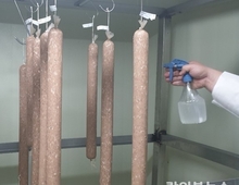 유산균으로 발효육제품 곰팡이 90 이상 억제…현장 기술 실증