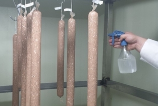 유산균으로 발효육제품 곰팡이 90 이상 억제…현장 기술 실증