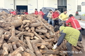 순창군, 취약계층 위한 ‘사랑의 땔감 나누기’ 온정 전해