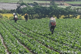 정부, 내년 외국인 계절근로자 10.9만명 배정…전년比 14.1 확대