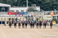 인공지능으로 만나보는 ’올해의 한국경마’ 10대 키워드