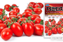 NH농우바이오, 고온기 재배에 강한 국산 대추형 방울토마토 ‘TS판타지’ 출시