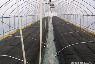 주말까지 ‘최강 한파’, 농작물 언 피해·저온피해 철저 대비해야