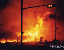 영남지역 산불 위험 ‘높음’…“1월 누적 강수량 최저”