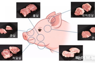 돼지 한 마리에서 단 1kg ‘머릿고기’…“맛있게 먹어볼까”